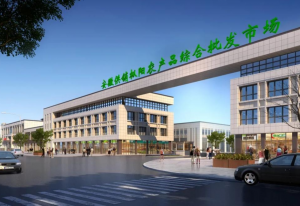 农产品批发市场发展策略分析