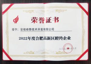 再斩殊荣！电科峰泰荣获2022合肥市高新区“瞪羚企业...