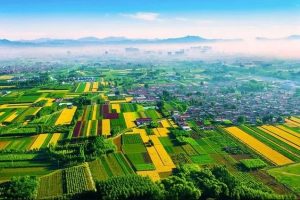 五部门联合印发《2023年数字乡村发展工作要点》，...