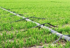 智慧农业：全国智慧农业现场推进会在安徽芜湖举行