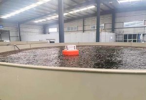 向江河湖海要食物，渔业养殖向现代化智能化转型