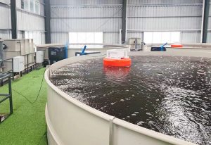 电科峰泰智慧渔业系统：赋能渔业可持续发展 助力养...