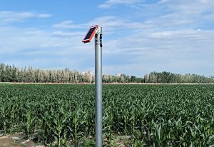 发展现代设施农业指导意见发布：完善仓储冷链物流 ...