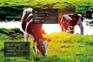 科技+智慧！以数字技术赋能畜牧业高质量发展