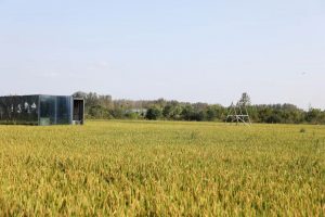 安徽省委一号文件发布，大力发展智慧农业