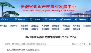 刚刚！电科峰泰荣膺“2023年安徽省商标品牌示范企业...