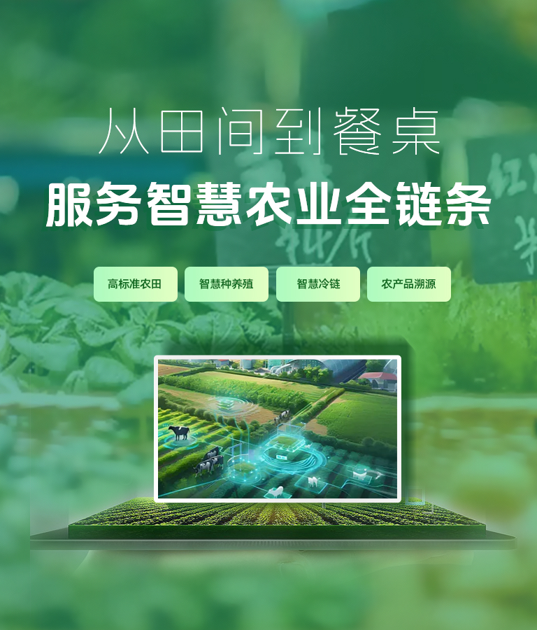 首页