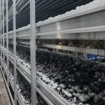 电科峰泰‌智慧菌菇种植系统平台：精准把控菌菇生产全过程